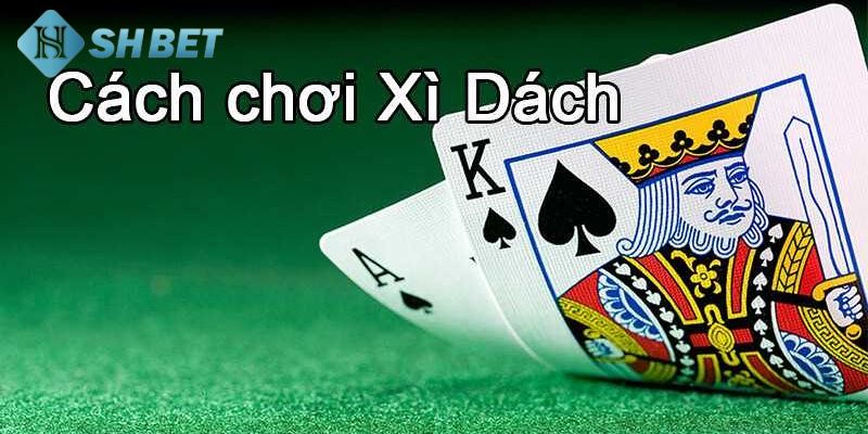 bài xì dách Bài xì dách là gì?
