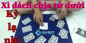 cách đánh bài xì dách gian lận