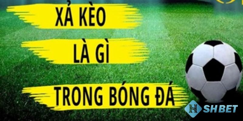 Cách xả kèo bóng đá Tìm hiểu sơ lược về cách xả kèo bóng đá