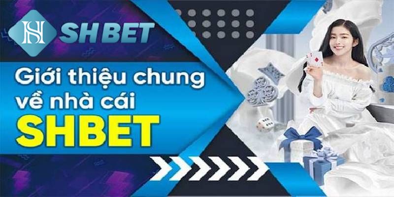 Giới thiệu thông tin vì sao lựa chọn nhà cái?