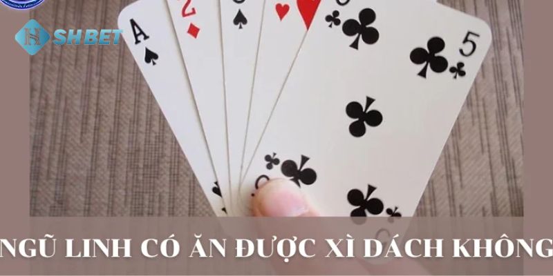 ngũ linh có ăn xì dách không Giải thích chi tiết về ngũ linh có ăn xì dách không?