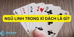 ngũ linh có ăn xì dách không