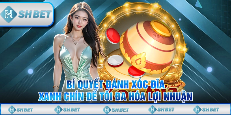 Bí Quyết Đánh Xóc Đĩa Xanh Chín Để Tối Đa Hóa Lợi Nhuận