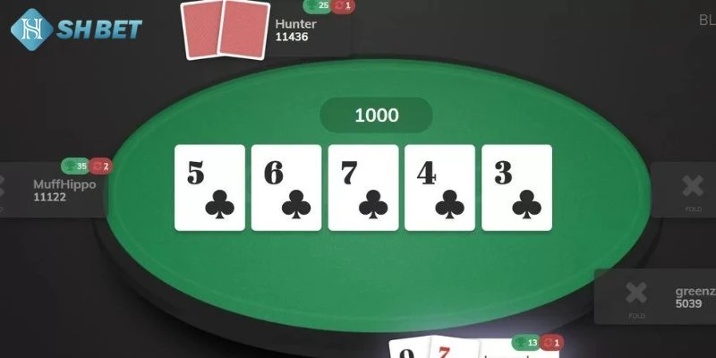 Những thông tin quan trọng về trò chơi Poker tại SHBET