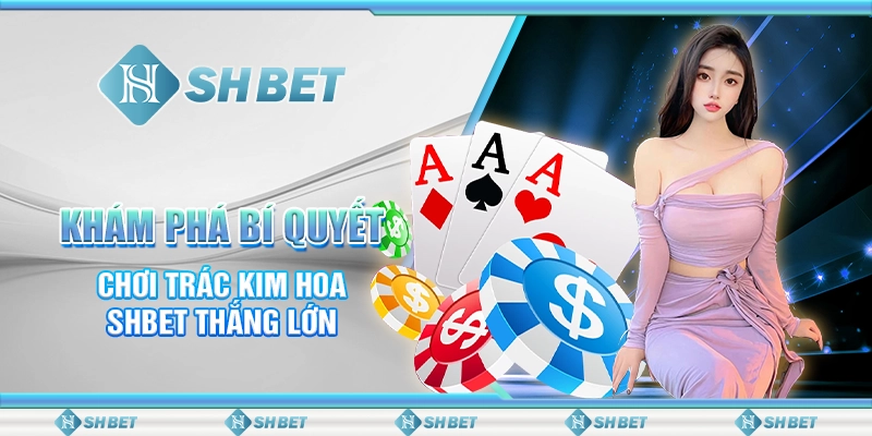 Khám Phá Bí Quyết Chơi Trác Kim Hoa SHBET Thắng Lớn