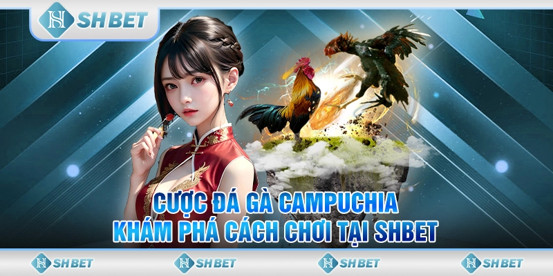 Cược Đá Gà Campuchia - Khám Phá Cách Chơi Tại SHBET