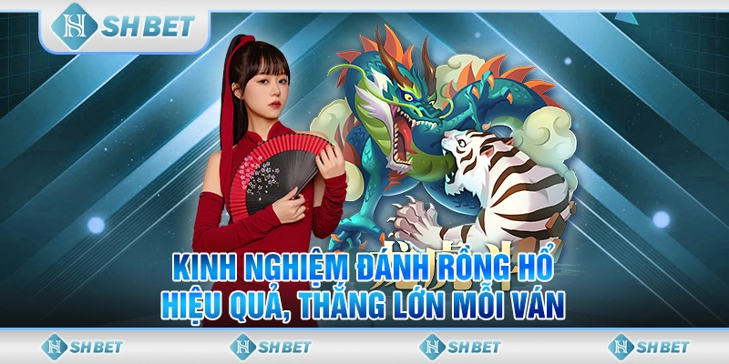 Kinh Nghiệm Đánh Rồng Hổ Hiệu Quả, Thắng Lớn Mỗi Ván