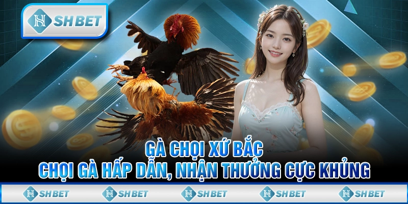 Gà Chọi Xứ Bắc – Chọi Gà Hấp Dẫn, Nhận Thưởng Cực Khủng