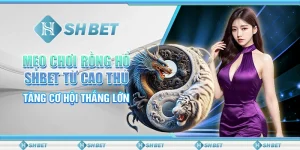 Mẹo Chơi Rồng Hổ SHBET Từ Cao Thủ, Tăng Cơ Hội Thắng Lớn