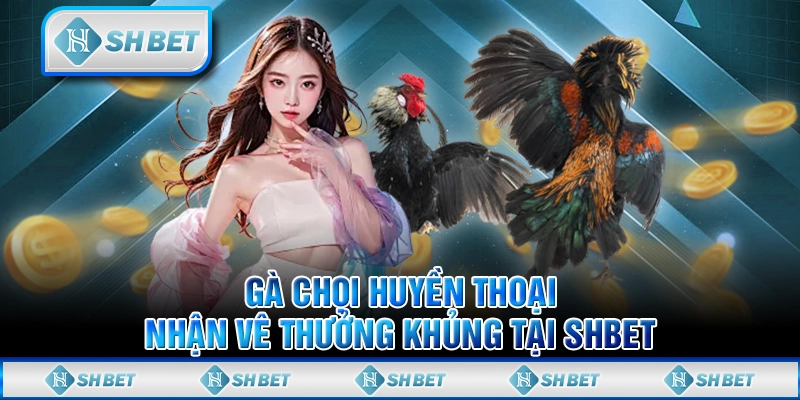 Gà Chọi Huyền Thoại Nhận Vê Thưởng Khủng Tại SHBET
