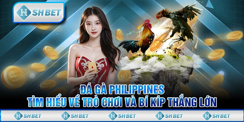 Đá Gà Philippines: Tìm Hiểu Về Trò Chơi Và Bí Kíp Thắng Lớn