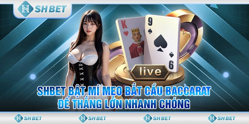 SHBET Bật Mí Mẹo Bắt Cầu Baccarat Để Thắng Lớn Nhanh Chóng