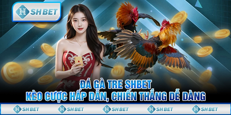 Đá Gà Tre Shbet: Kèo Cược Hấp Dẫn, Chiến Thắng Dễ Dàng