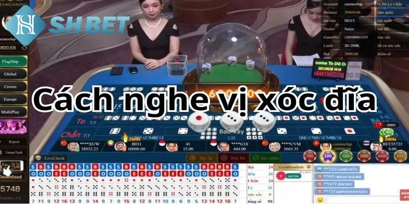 Theo dõi những cách chơi xóc đĩa SHBET luôn thắng tại đâu