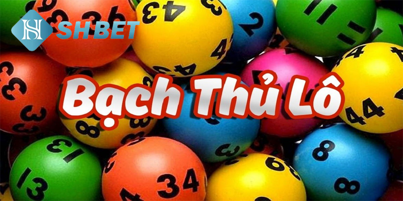 Bạch thủ lô là gì và vì sao được yêu thích?