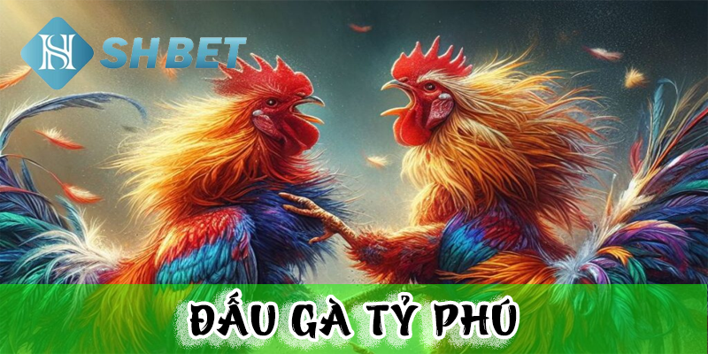 Các chiến thuật trong đấu gà tỷ phú