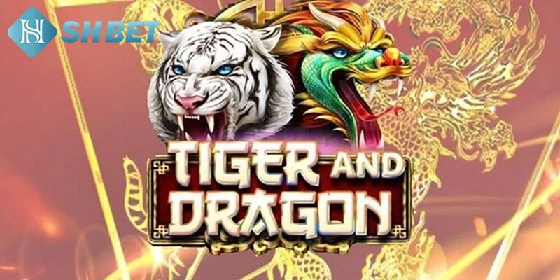 Mẹo chơi Rồng Hổ hiệu quả