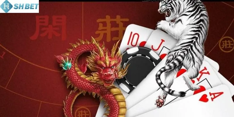 Một số mẹo đánh rồng hổ hiệu quả