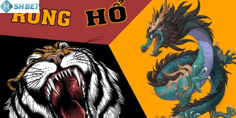Tổng quan về mẹo đánh rồng hổ