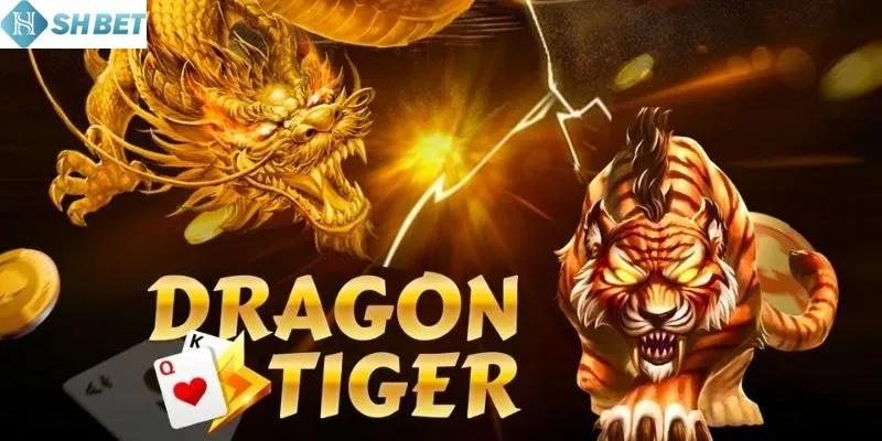 Một số những chiến thuật cược trong rồng hổ