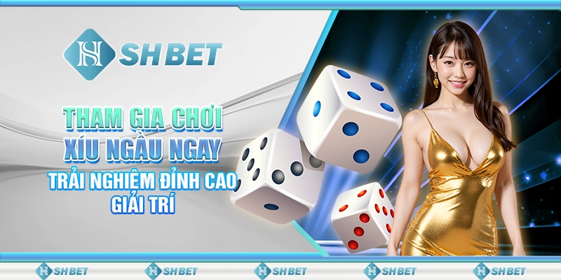 Tham Gia Chơi Xíu Ngầu Ngay, Trải Nghiệm Đỉnh Cao Giải Trí