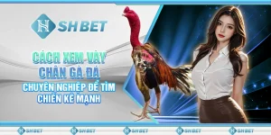 Cách Xem Vày Chân Gà Đá Chuyên Nghiệp Để Tìm Chiến Kê Mạnh