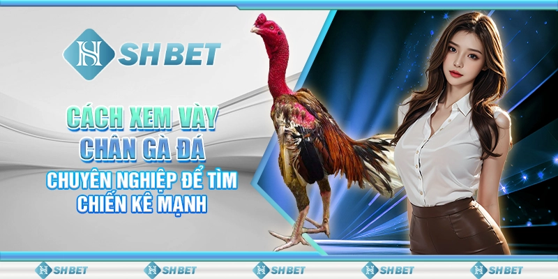 Cách Xem Vày Chân Gà Đá Chuyên Nghiệp Để Tìm Chiến Kê Mạnh