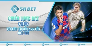 Chiến Lược Đặt Cược Với Kèo Tài Xỉu 2.75 Của Cao Thủ