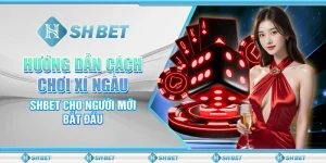 Hướng Dẫn Cách Chơi Xí Ngầu SHBET Cho Người Mới Bắt Đầu