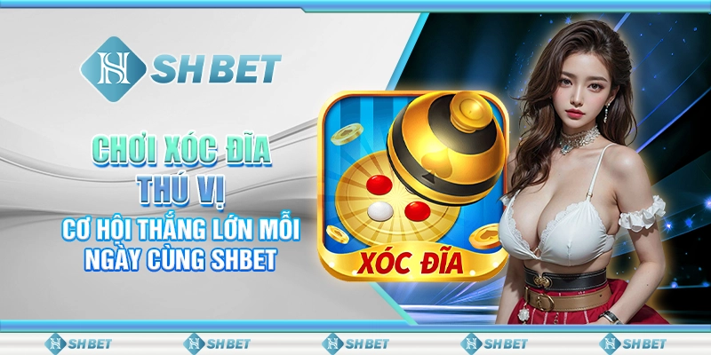 Chơi Xóc Đĩa Thú Vị, Cơ Hội Thắng Lớn Mỗi Ngày Cùng SHBET