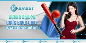 Hướng Dẫn Cá Cược Bóng Chày Tại SHBET Cho Người Mới