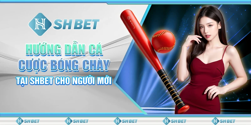 Hướng Dẫn Cá Cược Bóng Chày Tại SHBET Cho Người Mới