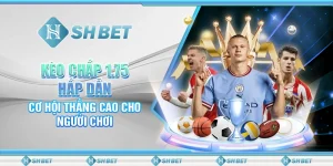 Kèo Chấp 1.75 Hấp Dẫn, Cơ Hội Thắng Cao Cho Người Chơi