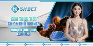Xem Trực Tiếp Gà Đá Philippines - Môn Thể Thao Đầy Kịch Tính