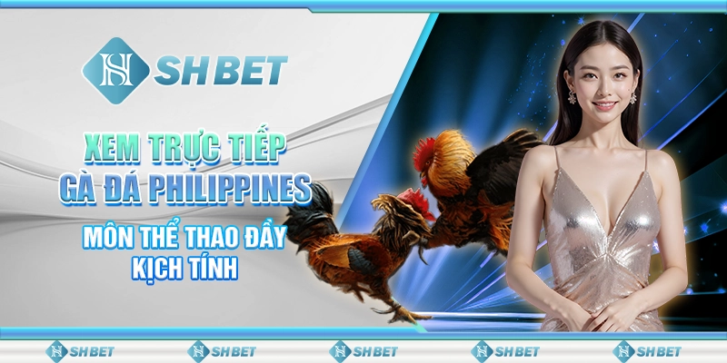 Xem Trực Tiếp Gà Đá Philippines - Môn Thể Thao Đầy Kịch Tính