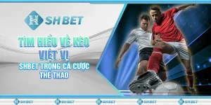Cách Chơi Kèo Việt Vị Cực Chuẩn Nhận Thưởng Hấp Dẫn