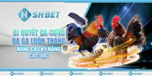 Bí Quyết Cá Cược Đá Gà Luôn Thắng, Nâng Cao Kỹ Năng Cá Cược