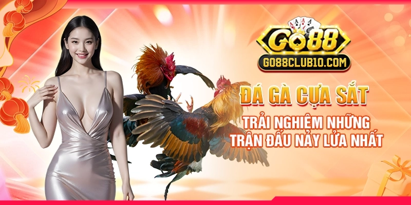 Đá Gà Cựa Sắt: Trải Nghiệm Những Trận Đấu Nảy Lửa Nhất