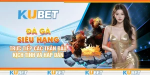 Đá Gà Siêu Hạng: Trực Tiếp Các Trận Đấu Kịch Tính Và Hấp Dẫn