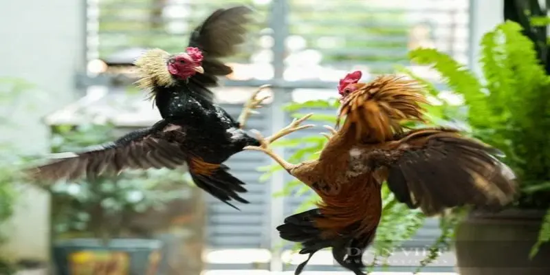 Giới thiệu tựa game hay nhất tại nhà cái 33WIN!