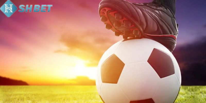 Cách tính kèo cá cược châu Á
