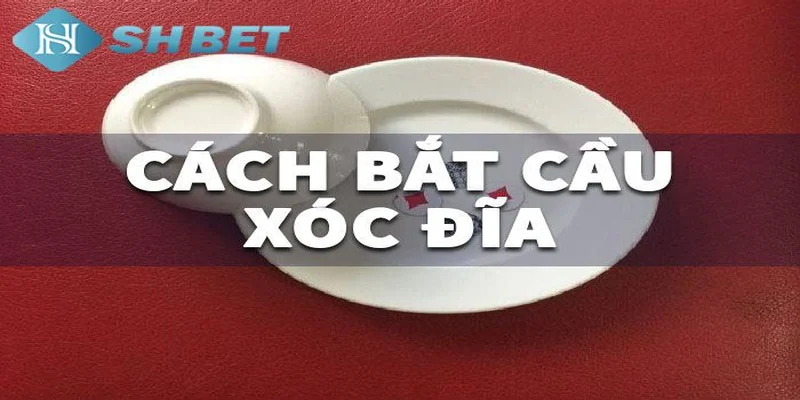 Các phương pháp soi cầu xóc đĩa được các cao thủ thường xuyên